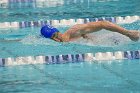 Swimming & Diving vs RWU  Swimming & Diving vs Roger Williams University. - Photo by Keith Nordstrom : Wheaton, Swimming